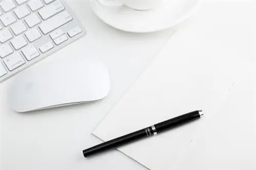 梅花的意思和含义